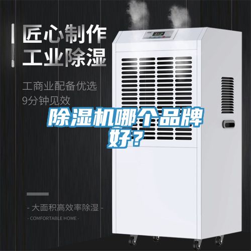 91看片软件大全哪個品牌好？