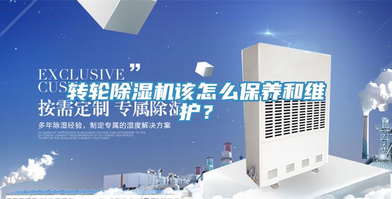 轉輪91看片软件大全該怎麽保養和維護？