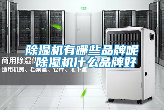 91看片软件大全有哪些品牌呢 91看片软件大全什麽品牌好