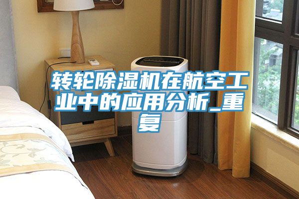 轉輪91看片软件大全在航空工業中的應用分析_重複