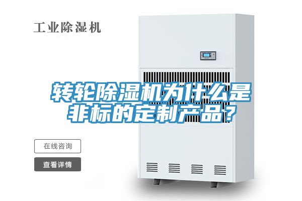 轉輪91看片软件大全為什麽是非標的定製產品？