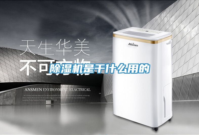 91看片软件大全是幹什麽用的