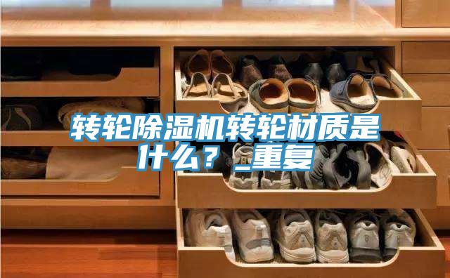 轉輪91看片软件大全轉輪材質是什麽？_重複