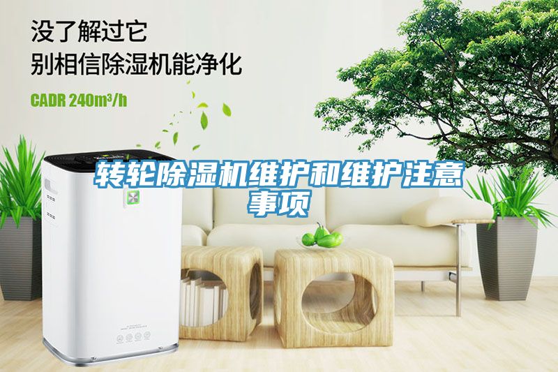 轉輪91看片软件大全維護和維護注意事項