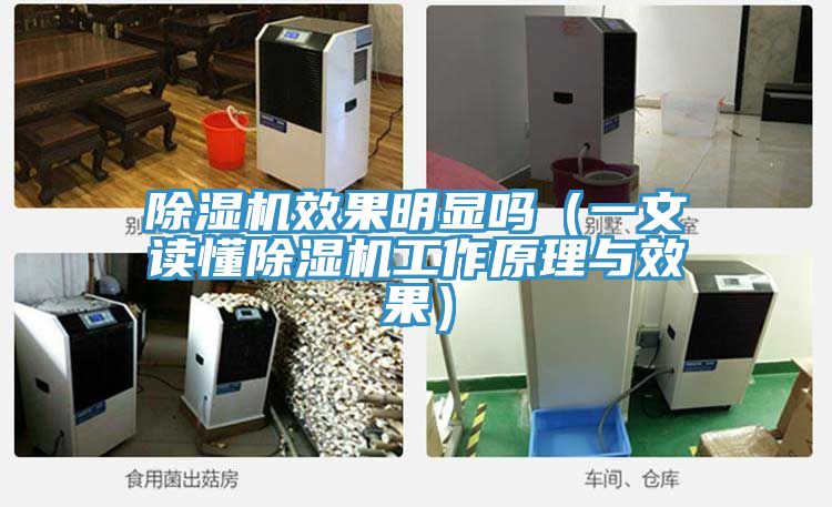 91看片软件大全效果明顯嗎（一文讀懂91看片软件大全工作原理與效果）
