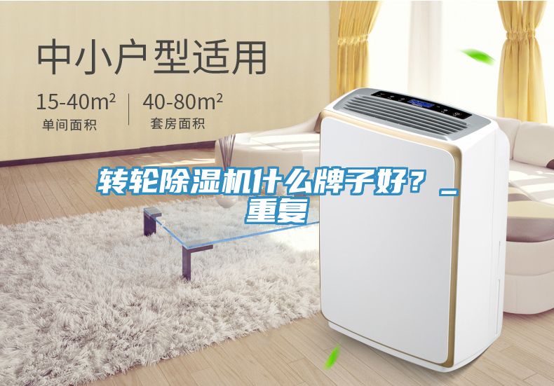 轉輪91看片软件大全什麽牌子好？_重複