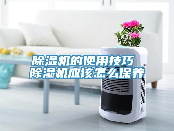 91看片软件大全的使用技巧 91看片软件大全應該怎麽保養