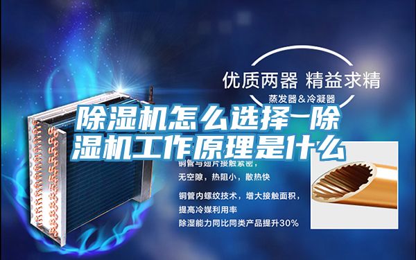 91看片软件大全怎麽選擇 91看片软件大全工作原理是什麽