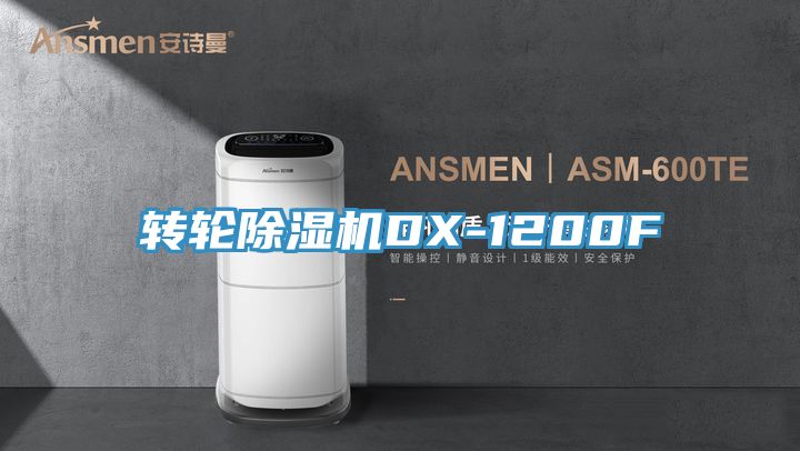 轉輪91看片软件大全DX-1200F