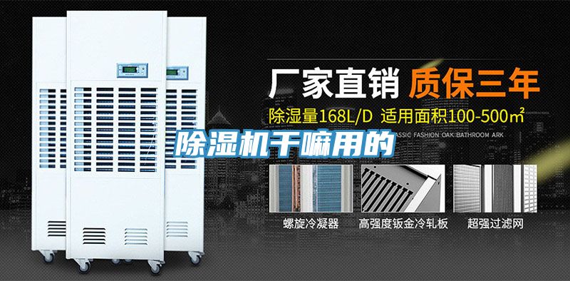 91看片软件大全幹嘛用的