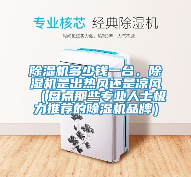 91看片软件大全多少錢一台，91看片软件大全是出熱風還是涼風（盤點那些專業人士極力推薦的91看片软件大全品牌）