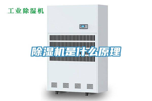 91看片软件大全是什麽原理