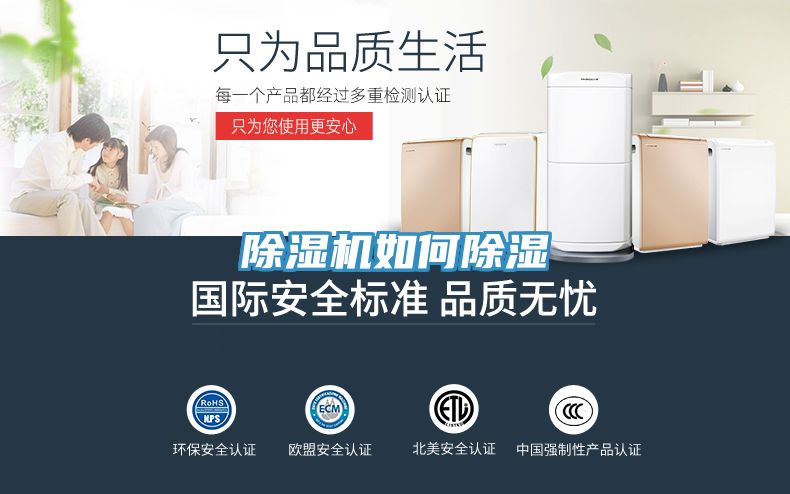 91看片软件大全如何除濕