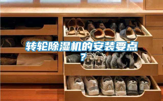 轉輪91看片软件大全的安裝要點？