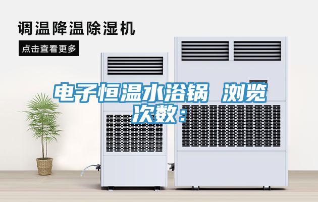 電子恒溫水浴鍋　　瀏覽次數：