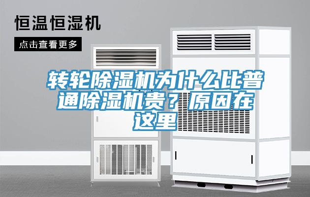 轉輪91看片软件大全為什麽比普通91看片软件大全貴？原因在這裏