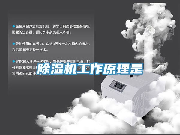 91看片软件大全工作原理是