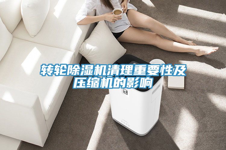 轉輪91看片软件大全清理重要性及壓縮機的影響