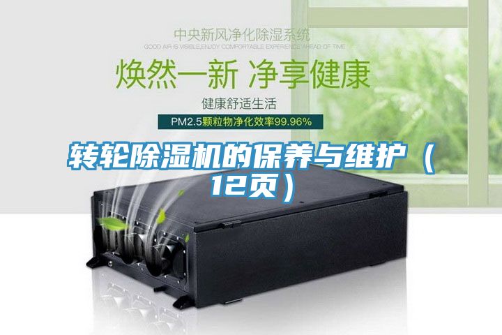 轉輪91看片软件大全的保養與維護（12頁）