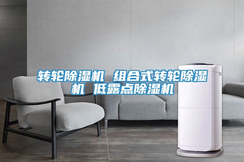 轉輪91看片软件大全 組合式轉輪91看片软件大全 低露點91看片软件大全