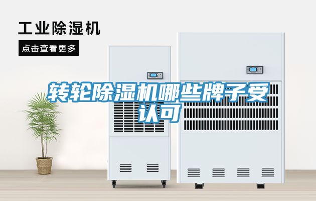 轉輪91看片软件大全哪些牌子受認可