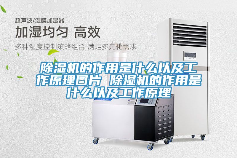 91看片软件大全的作用是什麽以及工作原理圖片 91看片软件大全的作用是什麽以及工作原理