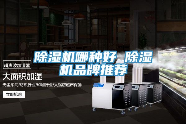 91看片软件大全哪種好 91看片软件大全品牌推薦