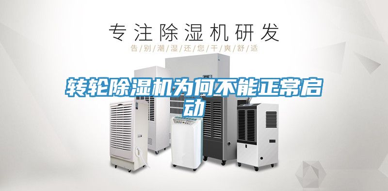 轉輪91看片软件大全為何不能正常啟動