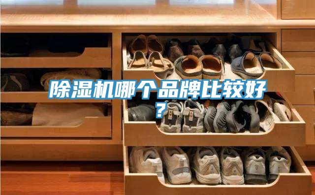 91看片软件大全哪個品牌比較好？