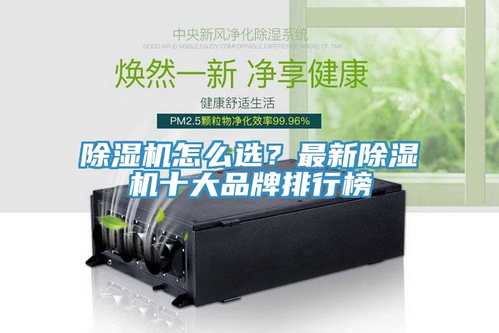 91看片软件大全怎麽選？最新91看片软件大全十大品牌排行榜