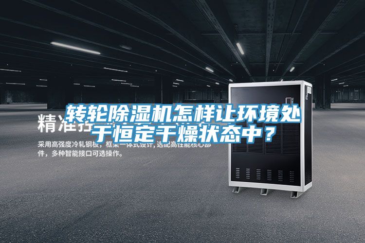 轉輪91看片软件大全怎樣讓環境處於恒定幹燥狀態中？
