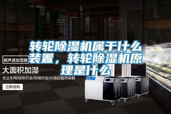 轉輪91看片软件大全屬於什麽裝置，轉輪91看片软件大全原理是什麽