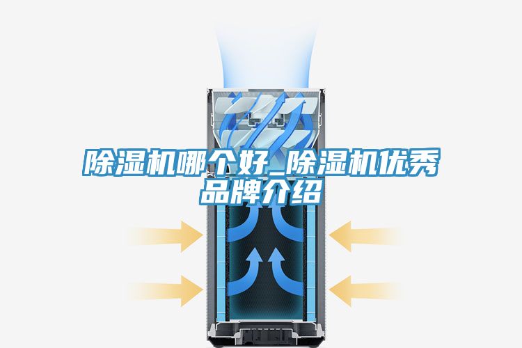 91看片软件大全哪個好_91看片软件大全優秀品牌介紹