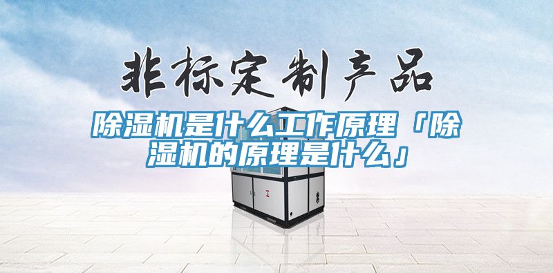 91看片软件大全是什麽工作原理「91看片软件大全的原理是什麽」