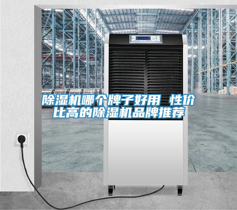 91看片软件大全哪個牌子好用 性價比高的91看片软件大全品牌推薦