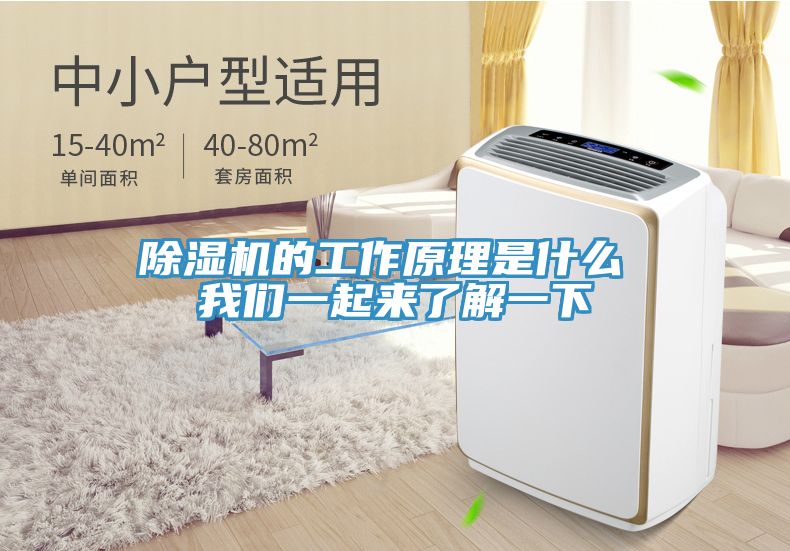 91看片软件大全的工作原理是什麽 91AV手机看片一起來了解一下