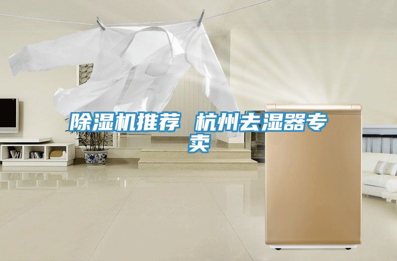 91看片软件大全推薦 杭州去濕器專賣