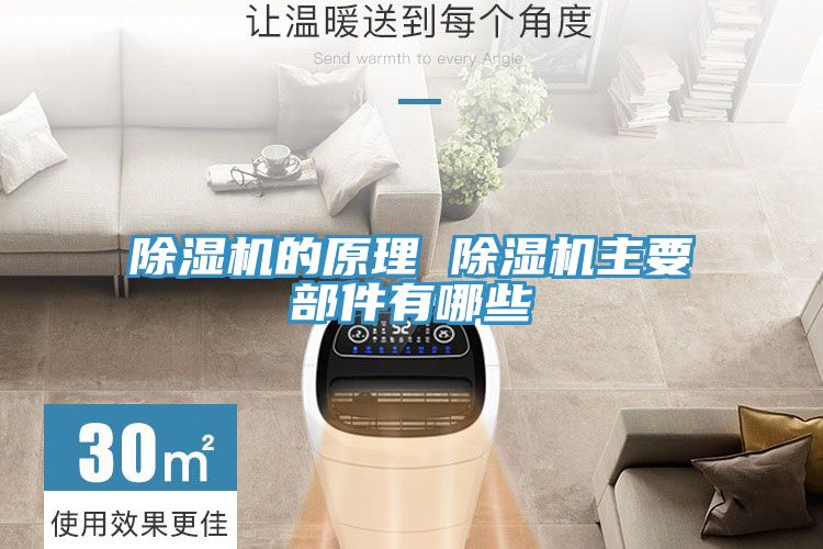 91看片软件大全的原理 91看片软件大全主要部件有哪些