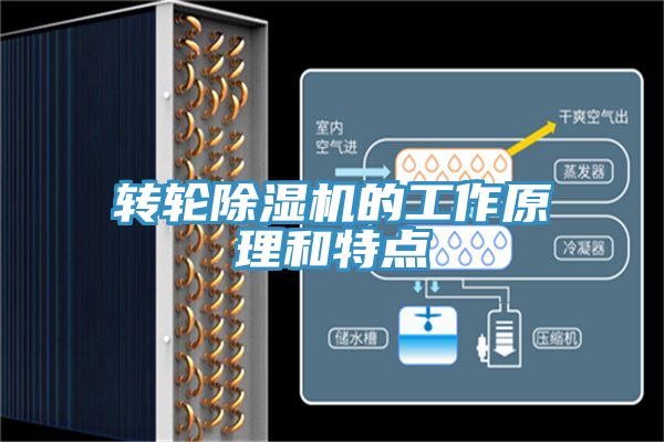 轉輪91看片软件大全的工作原理和特點