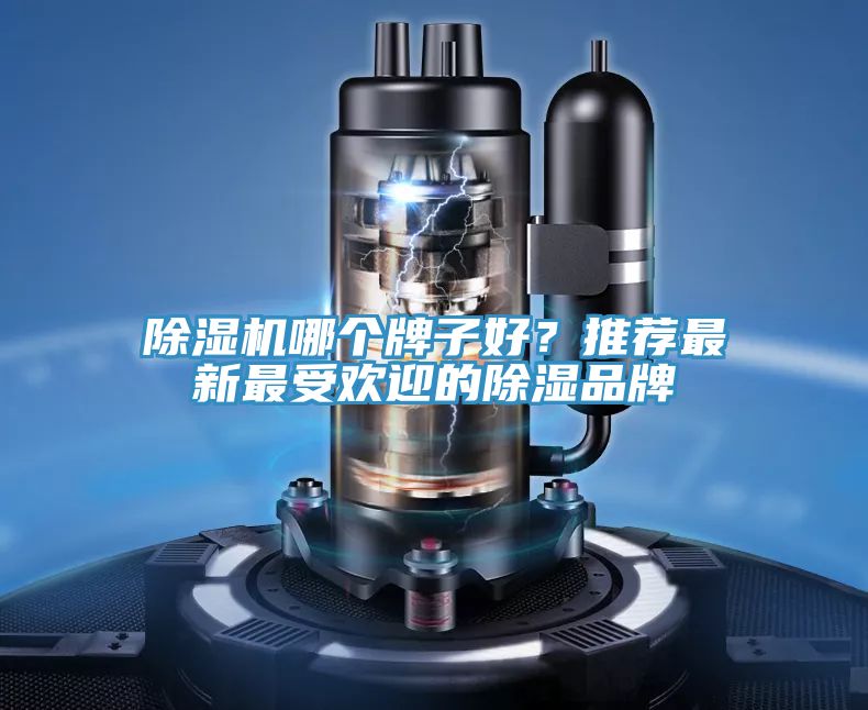 91看片软件大全哪個牌子好？推薦最新最受歡迎的除濕品牌