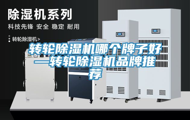 轉輪91看片软件大全哪個牌子好—轉輪91看片软件大全品牌推薦
