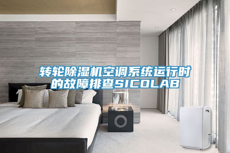 轉輪91看片软件大全空調係統運行時的故障排查SICOLAB