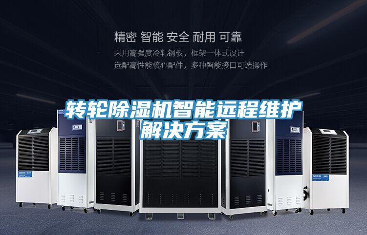 轉輪91看片软件大全智能遠程維護解決方案