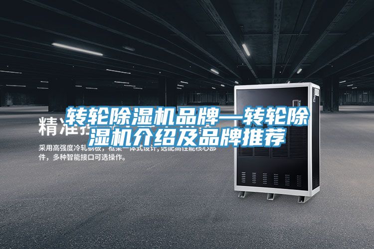 轉輪91看片软件大全品牌—轉輪91看片软件大全介紹及品牌推薦