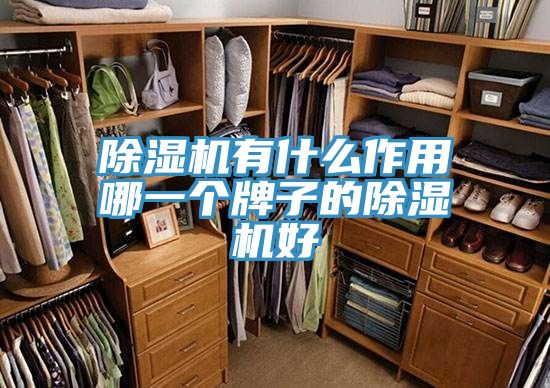 91看片软件大全有什麽作用哪一個牌子的91看片软件大全好