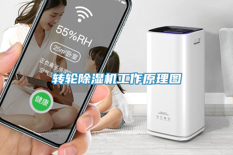 轉輪91看片软件大全工作原理圖