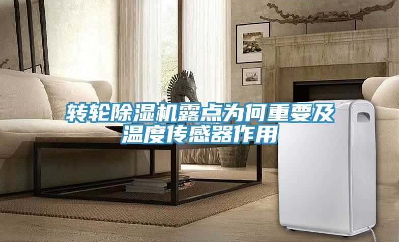 轉輪91看片软件大全露點為何重要及溫度傳感器作用
