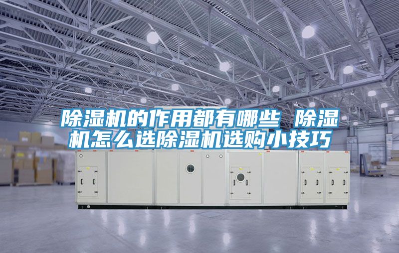 91看片软件大全的作用都有哪些 91看片软件大全怎麽選91看片软件大全選購小技巧