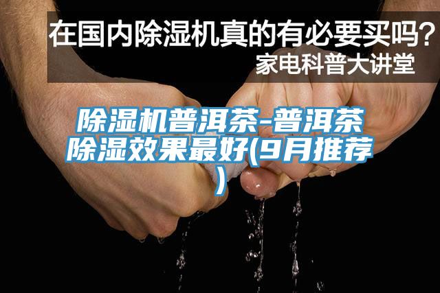 91看片软件大全普洱茶-普洱茶除濕效果最好(9月推薦)