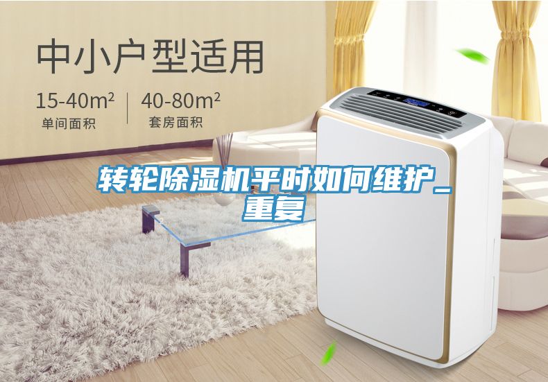 轉輪91看片软件大全平時如何維護_重複